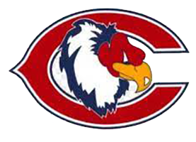 Curie Condors Logo