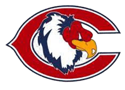 Curie Condors Logo